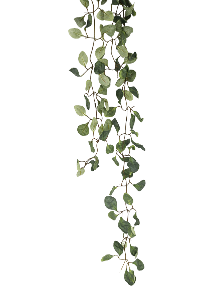 kunstig Hængende eucalyptus